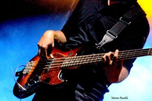 Dire Straits Over Gold, Young Festival Albignasego 2017, Francesco Piovan